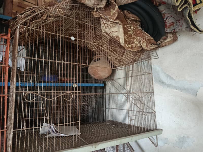 cages 0