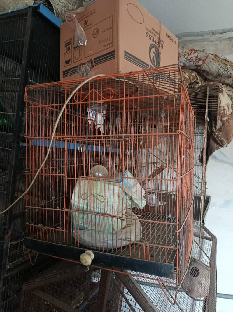 cages 1