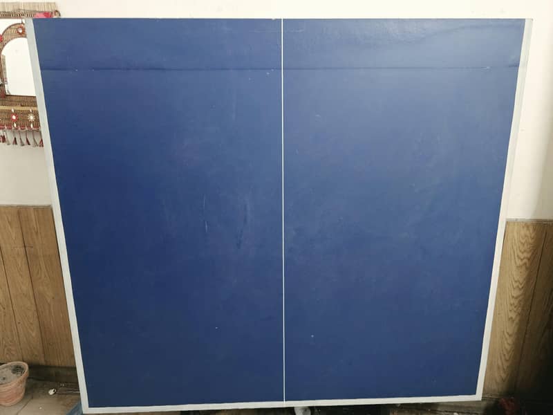 Table Tennis 7