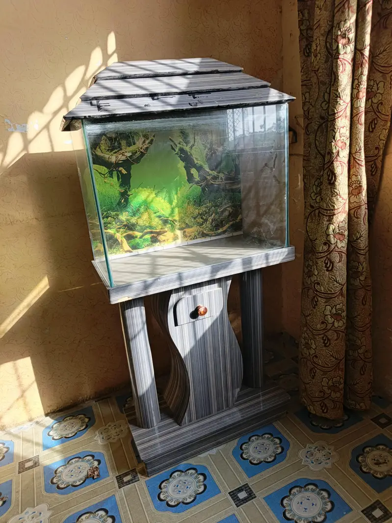 Only Aqurium with Stand — photo 2