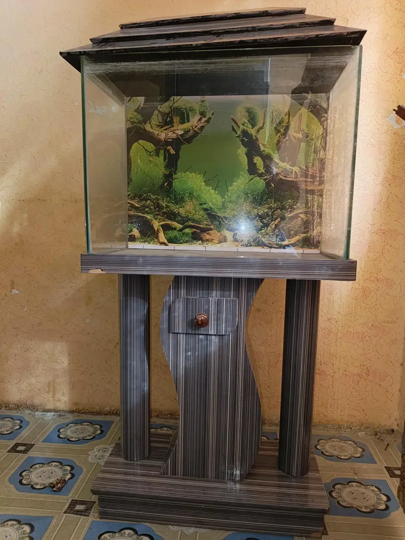 Only Aqurium with Stand — photo 3