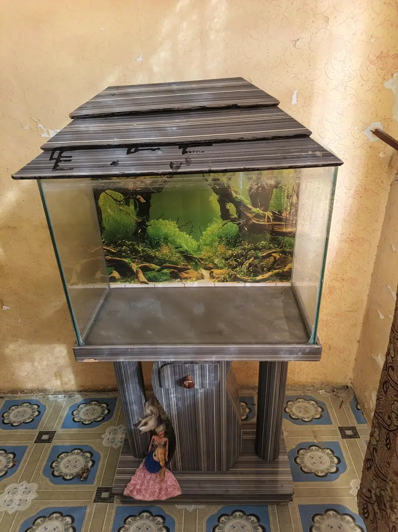 Only Aqurium with Stand — photo 4