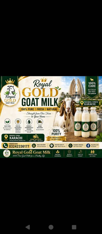 goat milk