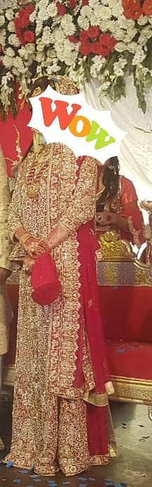 lahenga 0