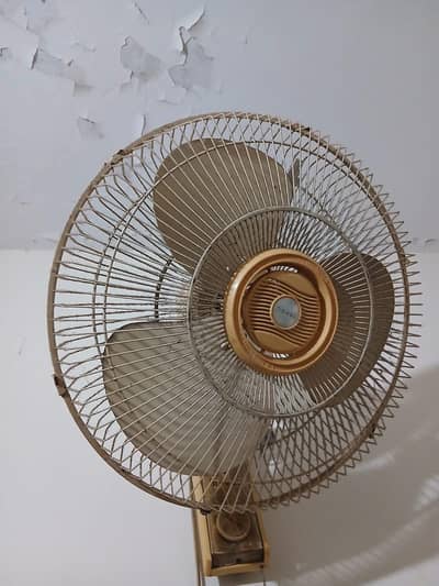 Wall Bracket Fan Royal