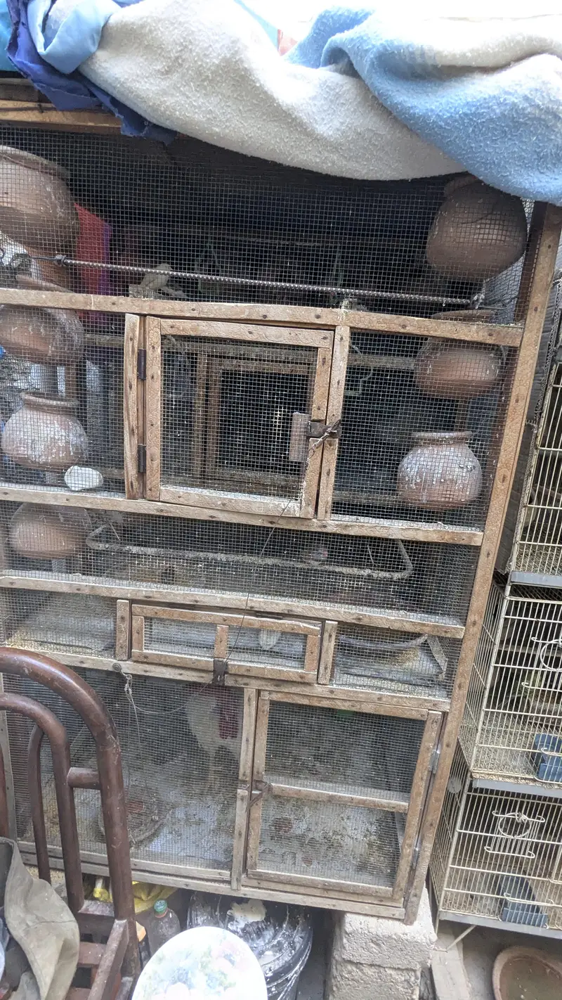 A CAGE |pinjra| used 8k — photo 2