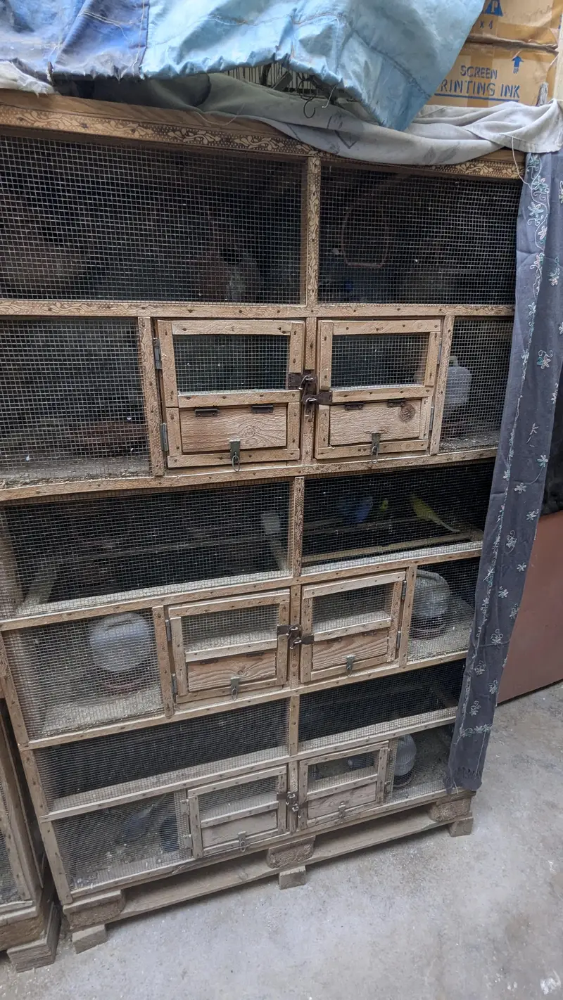 A CAGE |pinjra| used 8k — photo 3