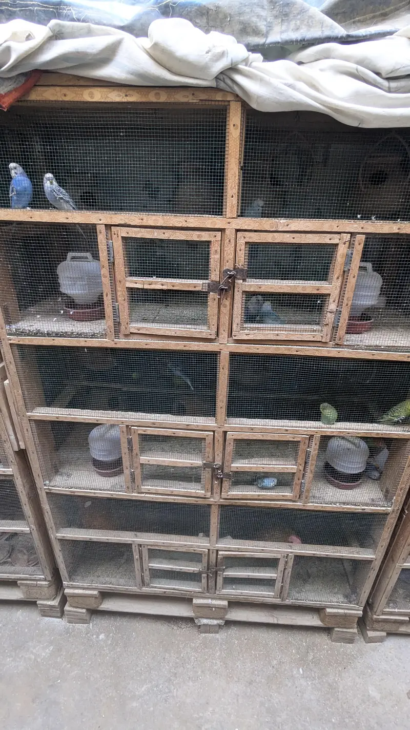 A CAGE |pinjra| used 8k — photo 4