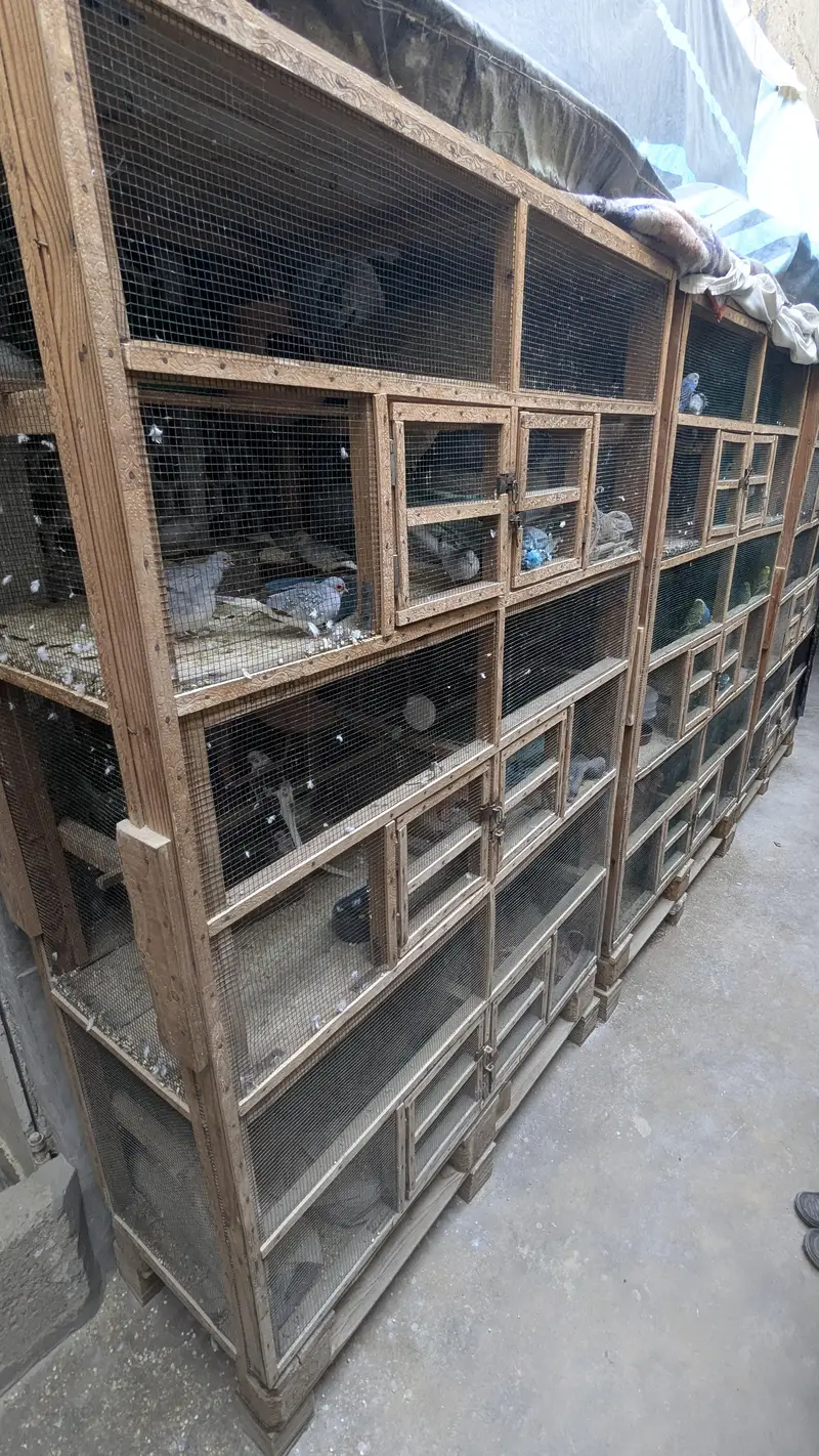 A CAGE |pinjra| used 8k — photo 5