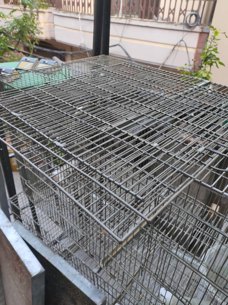 6 portion Cage 1