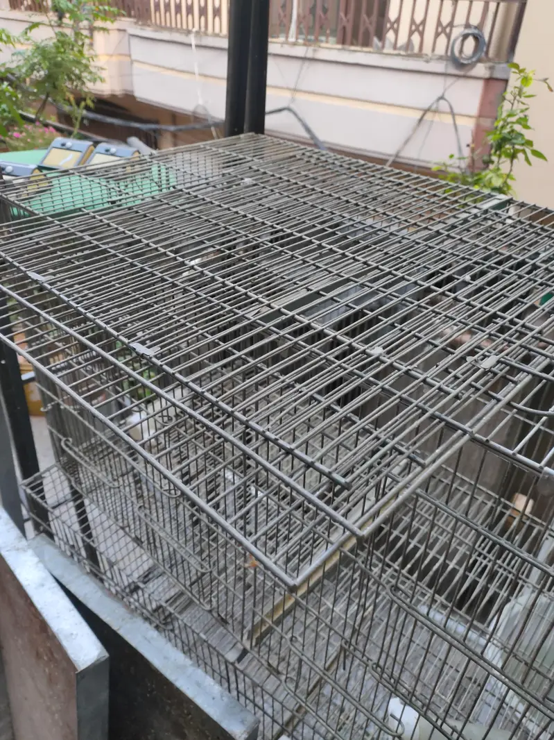 6 portion Cage — photo 2