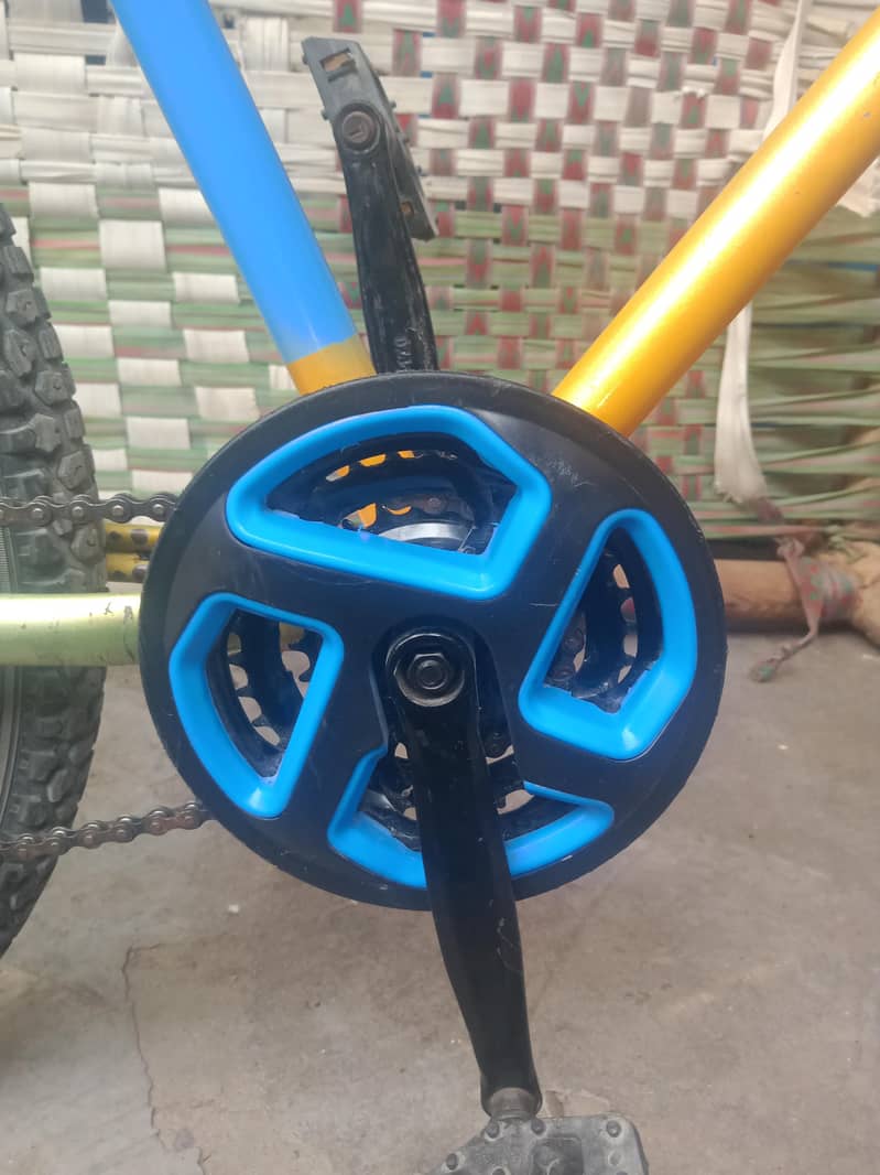phonex cycle 1