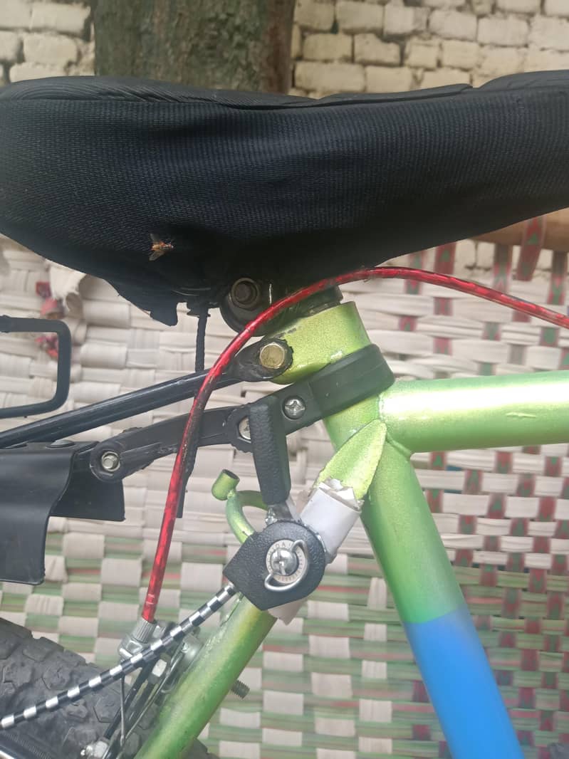 phonex cycle 2