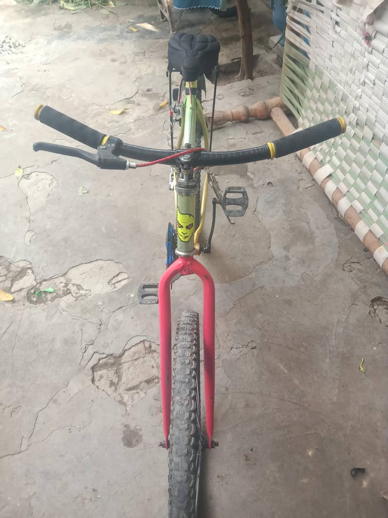 phonex cycle 3