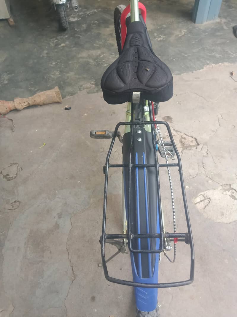 phonex cycle 5