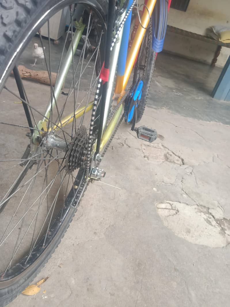 phonex cycle 6