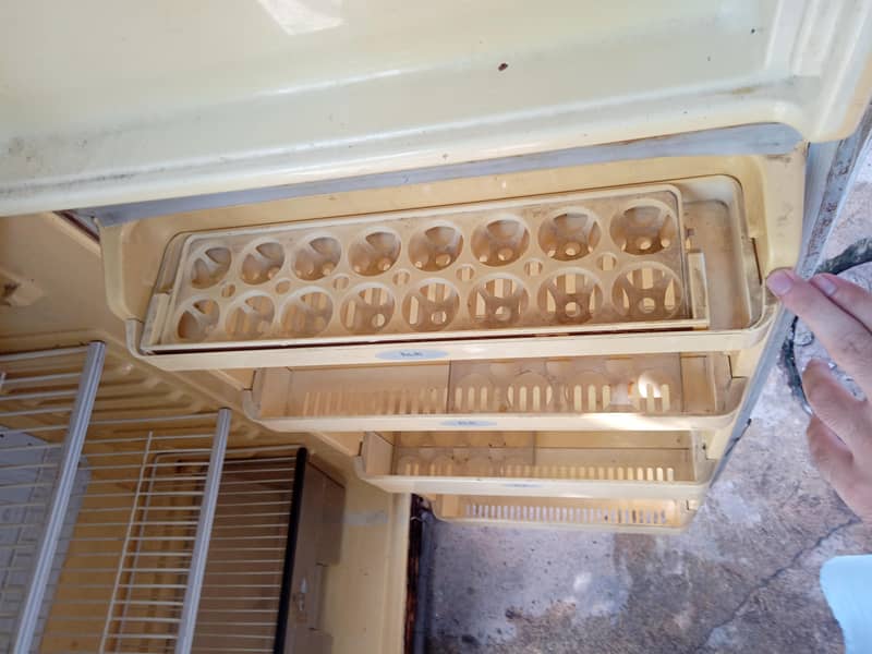 refrigerator 1