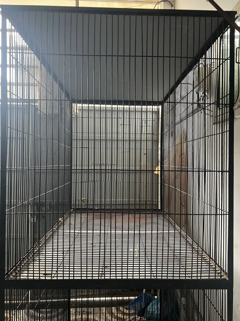 Cage saaf suthra hai big cage moti wire mazboot bna huya hai — photo 2