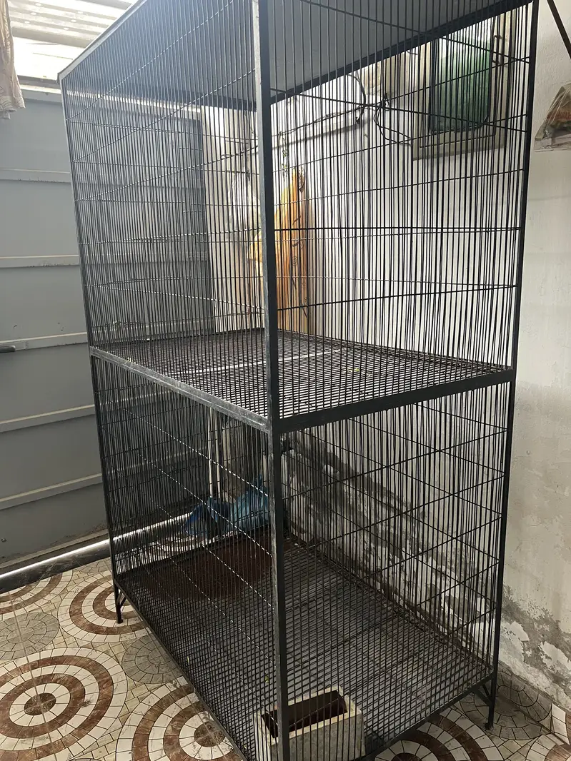 Cage saaf suthra hai big cage moti wire mazboot bna huya hai — photo 3