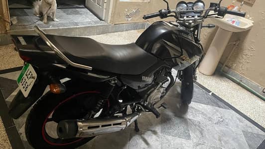 YBR 125