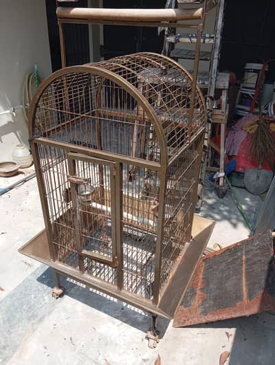 gray pereot cage