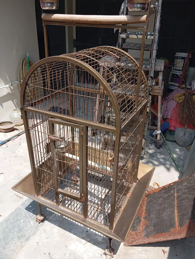 gray pereot cage — photo 2