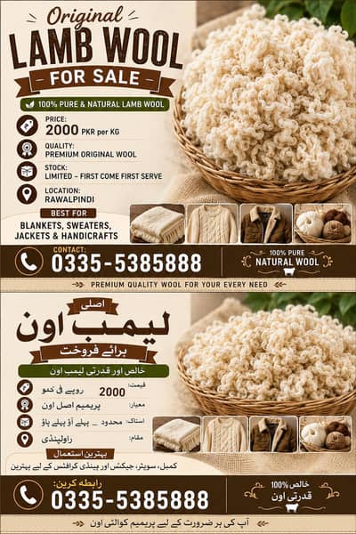 Lamb Wool
