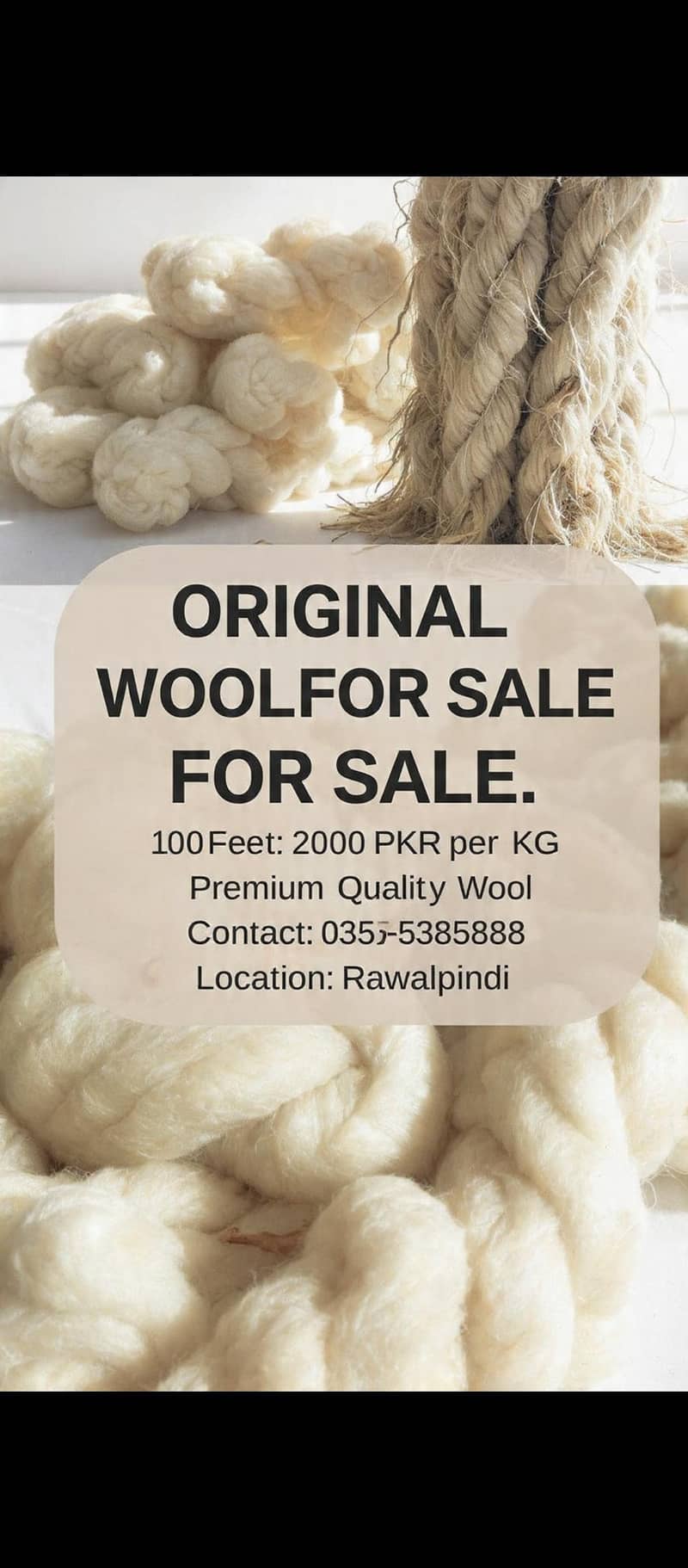 Lamb Wool 2
