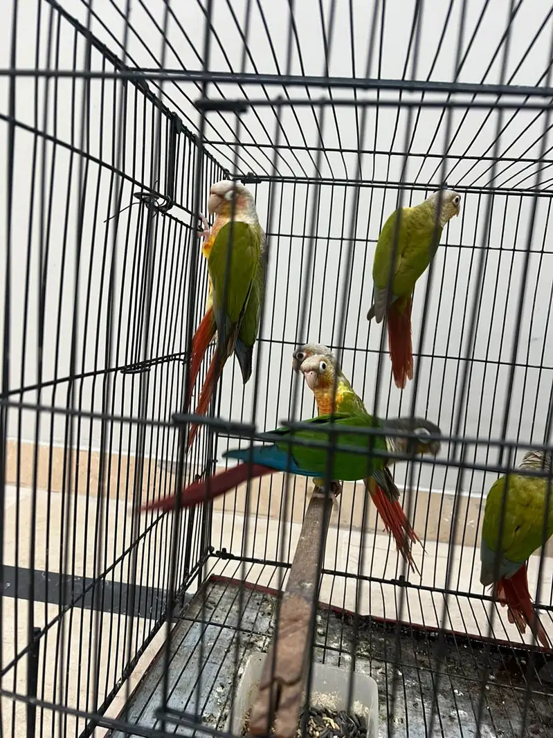 urgent sale — photo 3