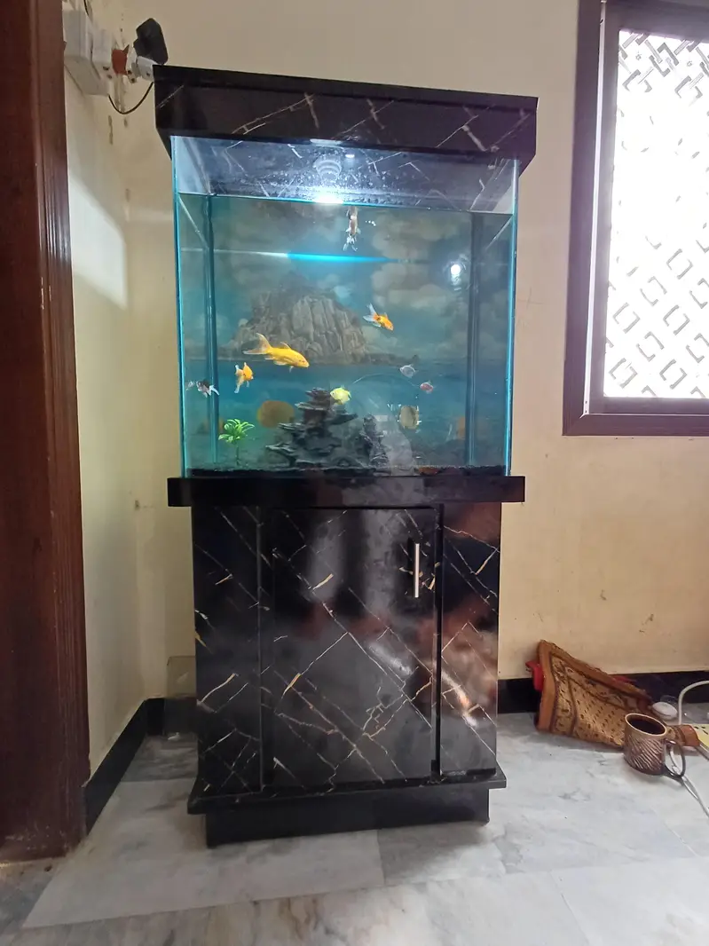 aquarium and gold fish — photo 2