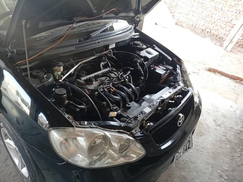 corolla 8
