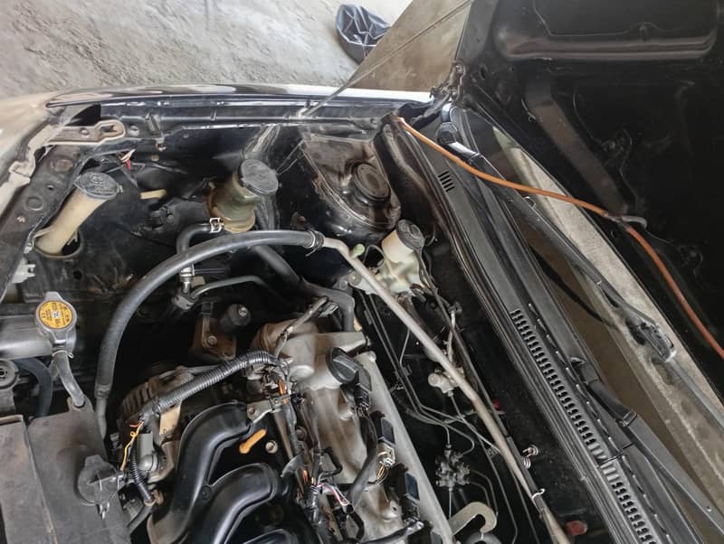 corolla 12