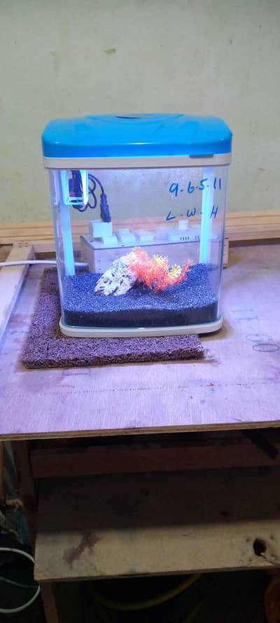 nano aquarium