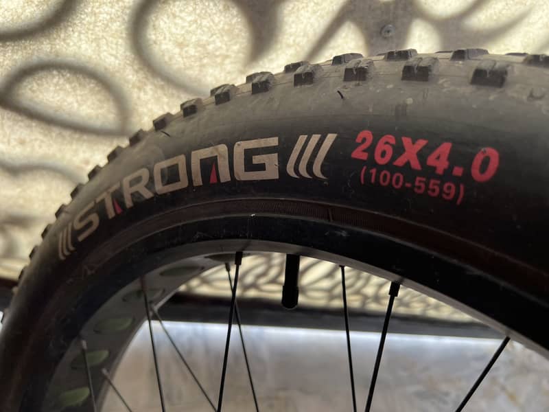 Morgan fatboy cycle 2