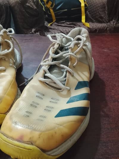 Adidas Spikes