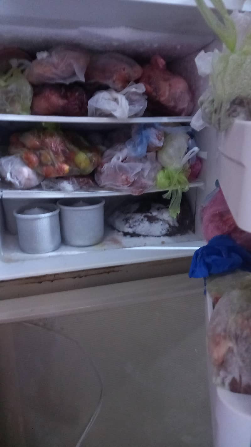 زبردست 4