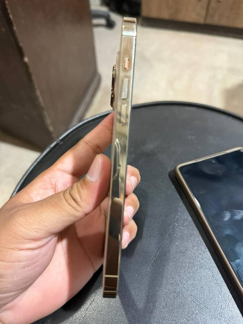 Apple iPhone 13 Pro Max 0