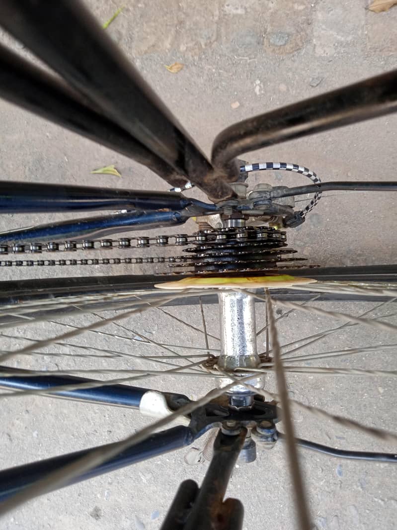 bicycle 4