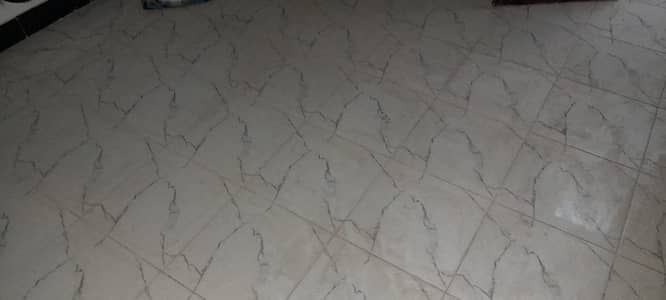 Surjani town Sector 5D Company Condition