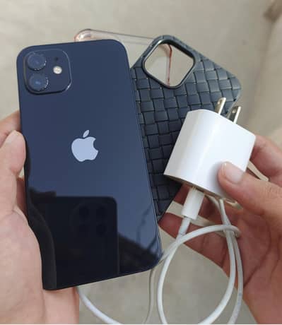Apple iPhone 12