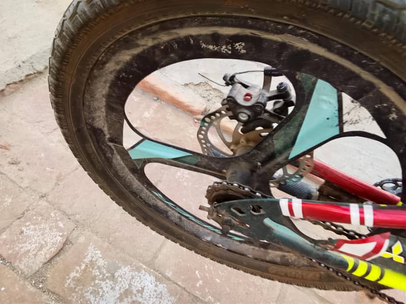 viper cycle 4
