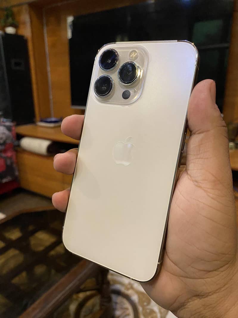 iPhone 13 Pro 0