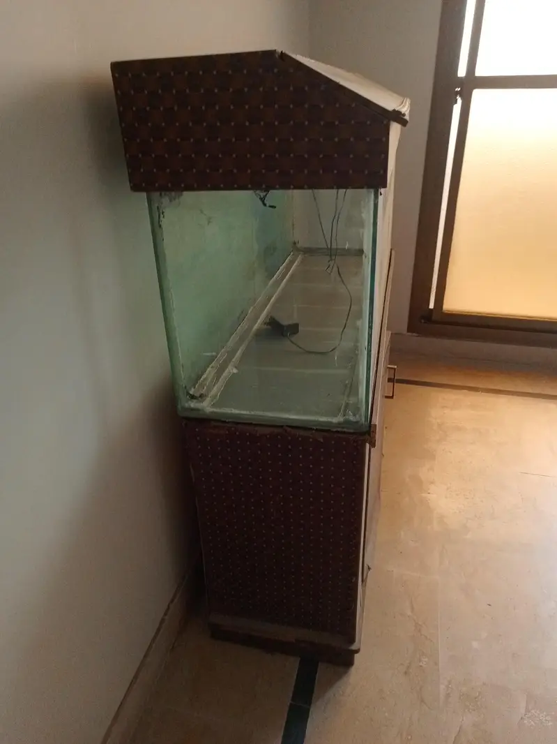 4x1.5 Feet Fish Aquarium for Sale – Used — photo 2