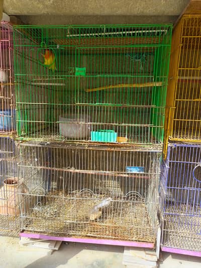 6 folding cages available