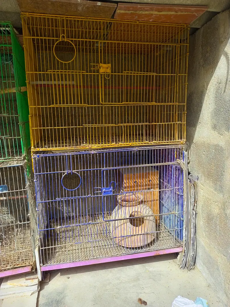 6 folding cages available — photo 2