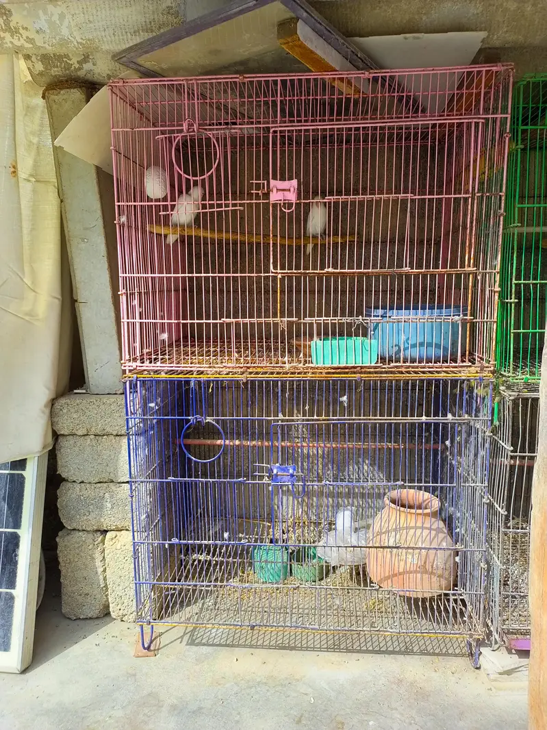 6 folding cages available — photo 3
