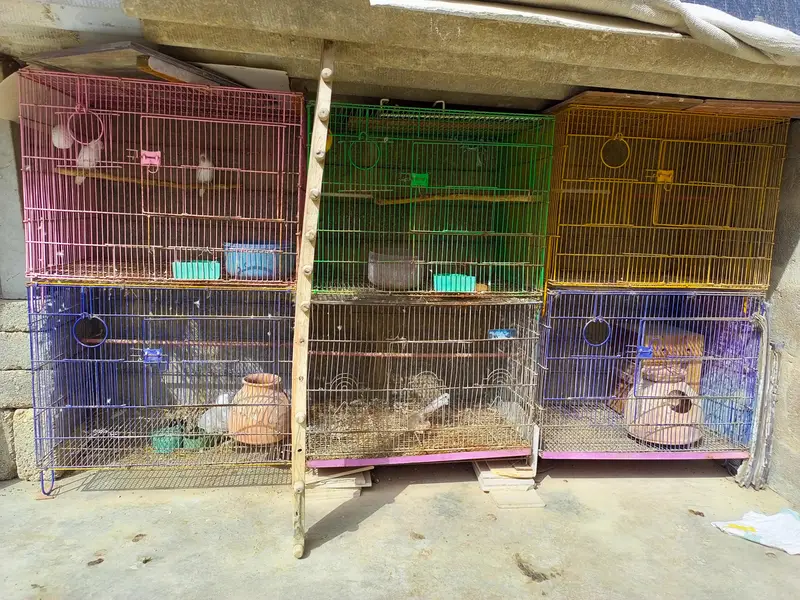 6 folding cages available — photo 4