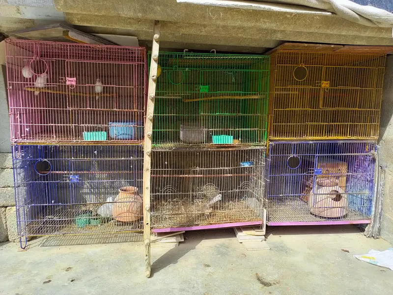 6 folding cages available — photo 5