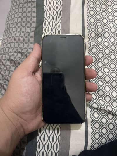Apple iPhone 12 Pro