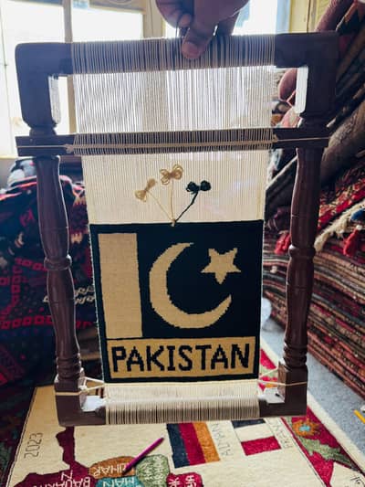 Hand-Knotted Pakistan Rug